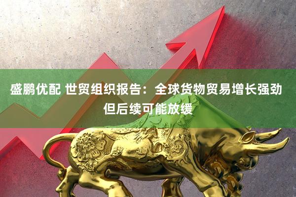 盛鹏优配 世贸组织报告：全球货物贸易增长强劲 但后续可能放缓