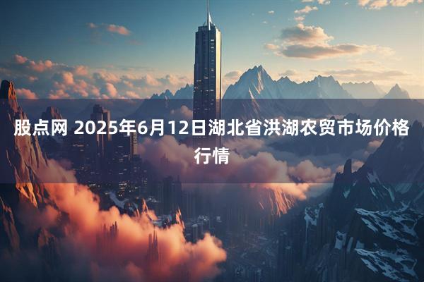 股点网 2025年6月12日湖北省洪湖农贸市场价格行情