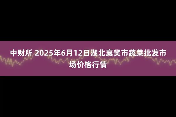 中财所 2025年6月12日湖北襄樊市蔬菜批发市场价格行情