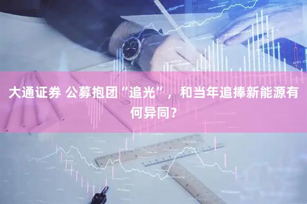 大通证券 公募抱团“追光”，和当年追捧新能源有何异同？